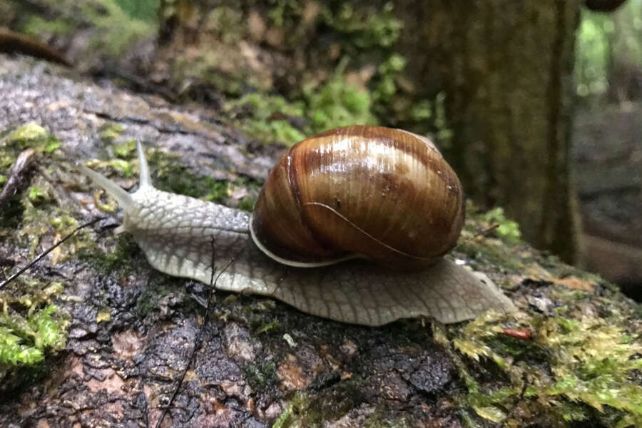 Skal alle dage være ens?
