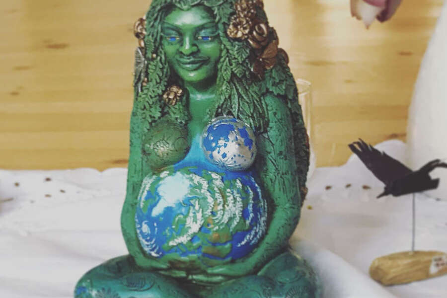 Mange kilder til næring og kraft